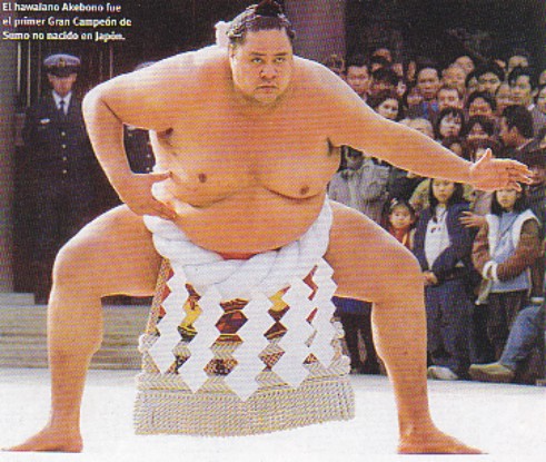 Sumo6.jpg